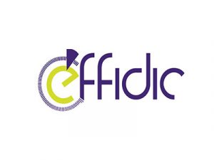 Logo Effidic