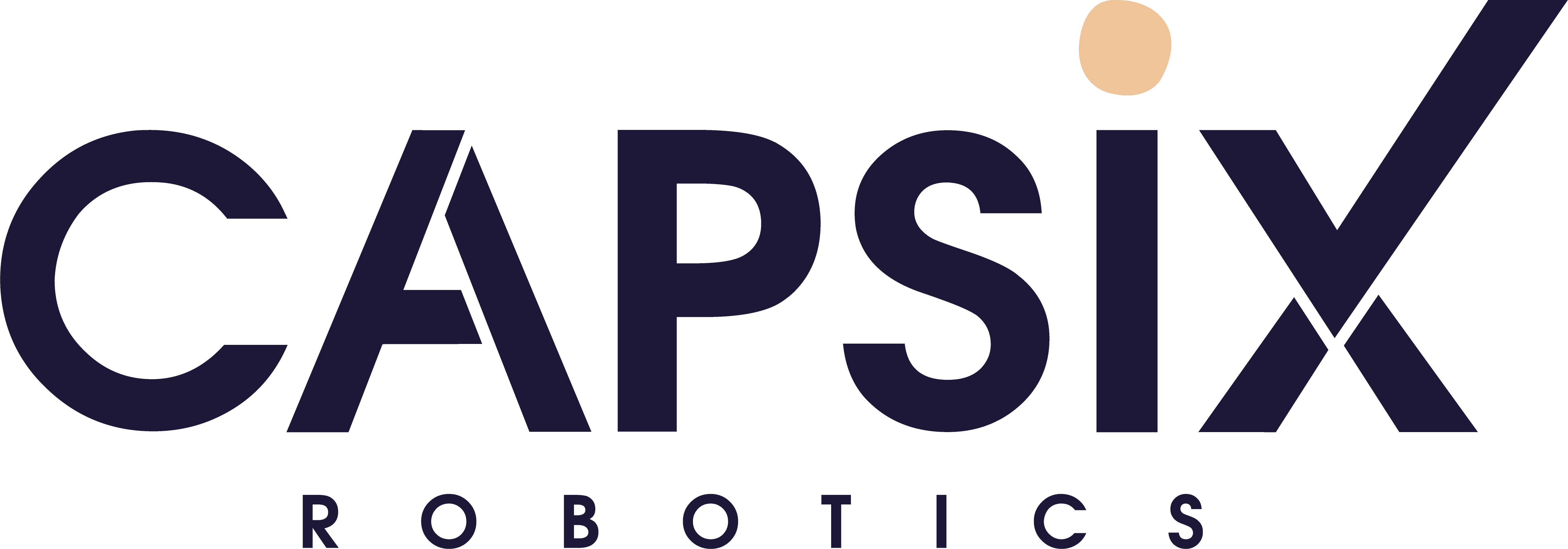 Logo Capsix Robotics data