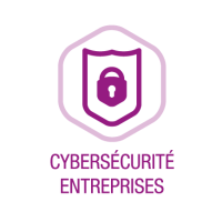 Icones-Cyber-Entreprises-OK