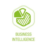 icone-business-intelligence